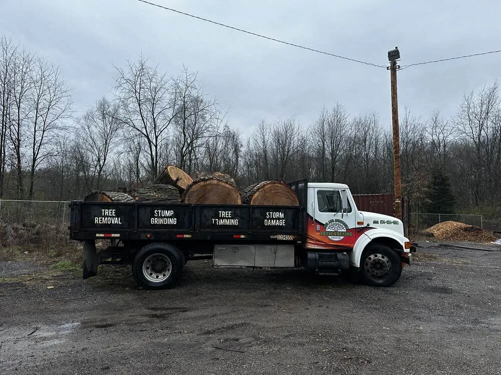 work truck with tree pieces in the back